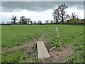 Footbridge on the Shropshire Way near Sibdon Carwood