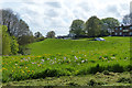 ST2986 : Springtime on the Gaer Estate, Newport by Robin Drayton