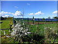 J1763 : Solar energy farm, Maghaberry by Kenneth  Allen