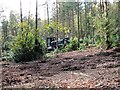 TQ7920 : Scrub clearance, Brede High Wood by Patrick Roper