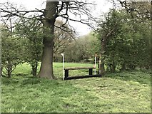 SJ7562 : Cross-country fence at Bradwall Manor by Jonathan Hutchins