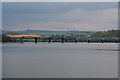 SX4461 : West Devon : The River Tamar by Lewis Clarke