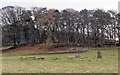 Mains of Daviot Farm ring cairn and stone circle