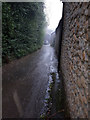 Mill Lane, Pitcombe in the rain