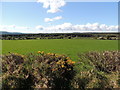 Lislaferty Townland