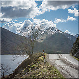 NM9991 : Tree, road and mountain near the head of Loch Arkaig by Peter Moore