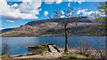 NN0592 : Tree and wee jetty on Loch Arkaig by Peter Moore