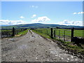 Muddy lane, Magheracoltan