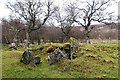 Ancient chambered cairn in Strath Naver