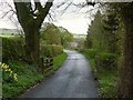 The lane to Ridge Hall Farm