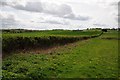 Farmland at Lickey End