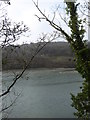 The East Looe River