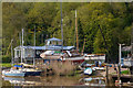 Calstock : The River Tamar