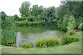 Pond near Royal Earlswood Park