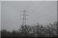 Pylons