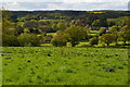 View towards The Frenches