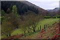 Cwm Crychan, view down the valley