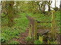 Footpath towards Danes Moss Farm