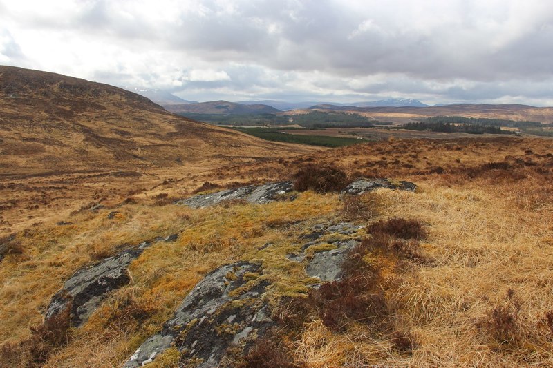 Naver Forest from Creag nan Laogh © Alan Reid :: Geograph Britain and ...