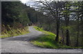 SN8337 : Forest track and junction, Crychan Forest by Andrew Hill