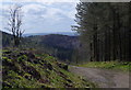 SN8439 : Forest track above Cwm-coed-oeron by Andrew Hill