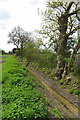 Footbridge over a stream