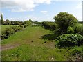 Trackbed of former Yatton to Wells railway