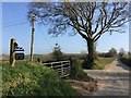 Lerwell Beech Tree cross