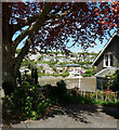 Noss Mayo: view over Newton Creek