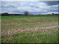 Rudcarrs farmland, drained by Carr Goit