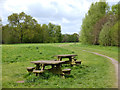 Lumb Brook Millennium Green