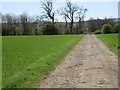 Bridleway to Lanehead Lane