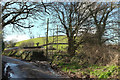 Lane past Glebe Cottage