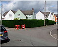 Long hedge on a Rogerstone corner