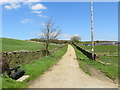 Track to Higher Turnshaw Farm