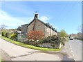 Roadside cottages near Harehope