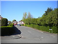 Leabrooks Avenue, Sutton Junction