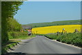 Road approaching Cannings Cross Farm