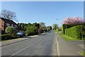 Looking along Oulston Road