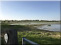 TL5392 : Receding flood water - The Ouse Washes by Richard Humphrey