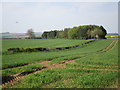 Wheat fields and Lingdales