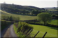 Hillside lane towards Hendy