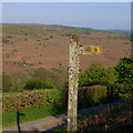 Footpath sign by lane with view across the Wye valley