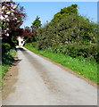 Entrance drive to Redwick House and The Stables, Redwick