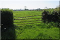 Warped five-bar field gate, Redwick