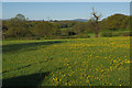 Fields at Northop Hall