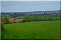 East Devon : Grassy Field