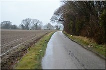 TR2255 : Lane at Bramling Gap by N Chadwick