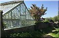 TQ5628 : Greenhouse at Ruggles Farm by Chris Thomas-Atkin