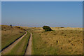 TM4764 : Suffolk Coast Path north of Sizewell by Christopher Hilton
